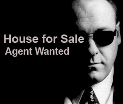 tony soprano realtor