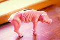 reverse mortgage
