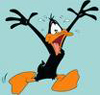daffy.jpg