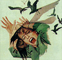 Flip_bird
