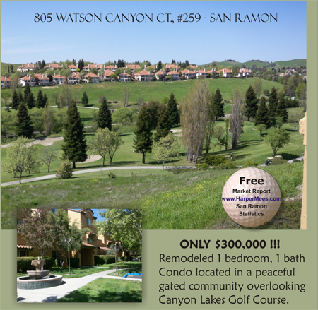 siena-hills-flyer.jpg