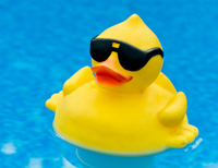 pool-duck.jpg