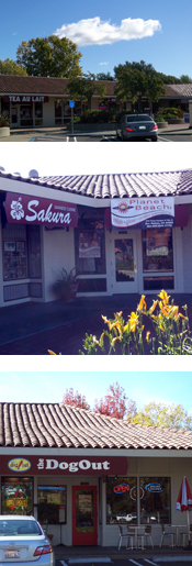 Dog-out-danville-sakura-planet-beach