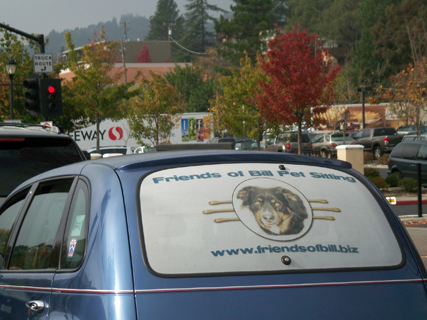 pet sitting east bay