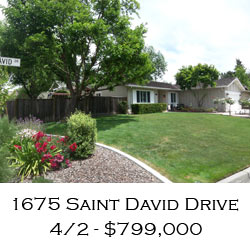 saint david danville