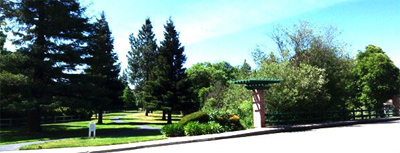 danville_greenbrook.jpg