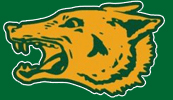 san-ramon-valley-high-school-wolves-danville-california.jpg