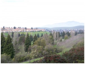 Siena Hills Condo San Ramon