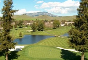 crow canyon country club estaqtes homes