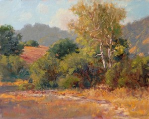 Studio 7 Gallery Pleasanton CA