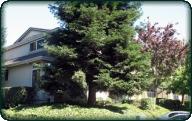 2052 Fostoria Circle